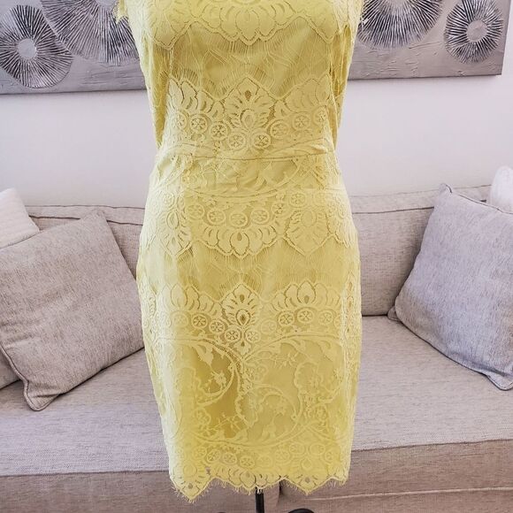 BB Dakota Jayce Lace Sheath Cocktail Dress size 8 in Citrus - NEW - Picture 5 of 14